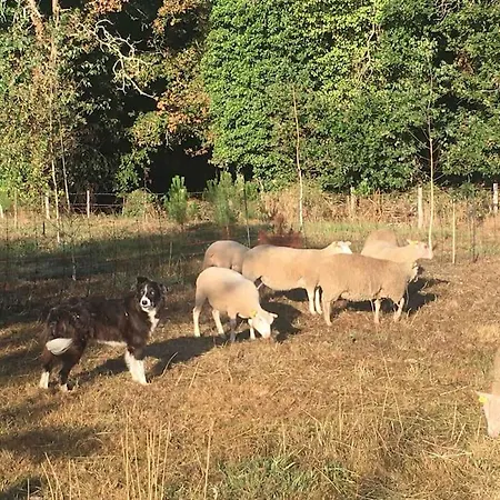 Maison Avec Piscine A La Campagne Villa *